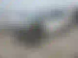 Vehicle Image- 2014 Ford Edge