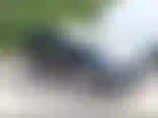 Vehicle Image- 2010 Ford Edge