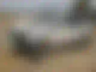 Vehicle Image- 2010 Ford Edge