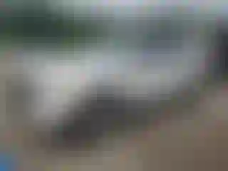 Vehicle Image- 2011 Ford Edge
