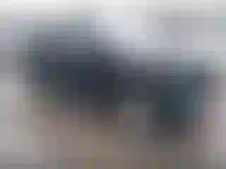Vehicle Image- 2010 Ford Edge