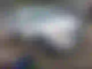 Vehicle Image- 2013 Ford Edge