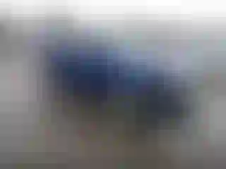 Vehicle Image- 2013 Ford Edge