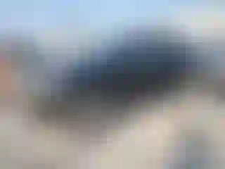 Vehicle Image- 2010 Ford Edge