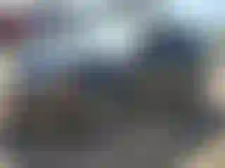 Vehicle Image- 2013 Ford Edge