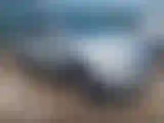 Vehicle Image- 2014 Ford Edge