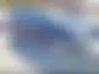 Vehicle Image- 2010 Ford Edge