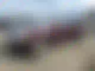 Vehicle Image- 2011 Ford Edge
