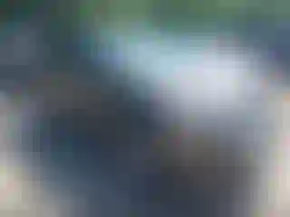 Vehicle Image- 2011 Ford Edge
