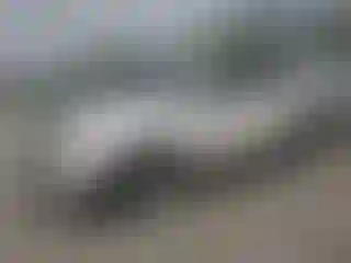 Vehicle Image- 2013 Ford Edge