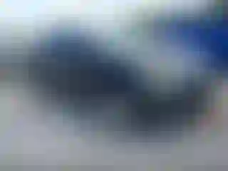 Vehicle Image- 2010 Ford Edge