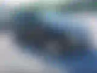 Vehicle Image- 2010 Ford Edge