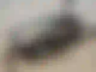 Vehicle Image- 2013 Ford Edge