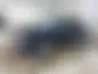 Vehicle Image- 2010 Ford Edge