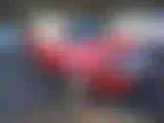 Vehicle Image- 2011 Ford Edge