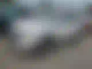 Vehicle Image- 2011 Ford Edge
