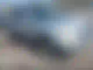 Vehicle Image- 2010 Ford Edge