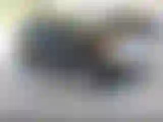 Vehicle Image- 2011 Ford Edge