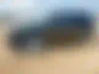 Vehicle Image- 2013 Ford Edge