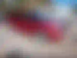 Vehicle Image- 2009 Ford Flex