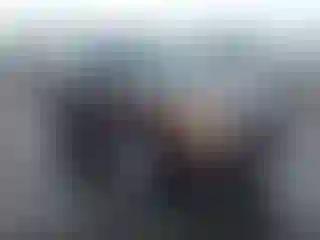 Vehicle Image- 2009 Ford Flex