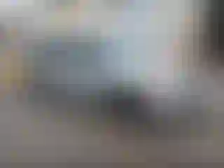 Vehicle Image- 2009 Ford Flex