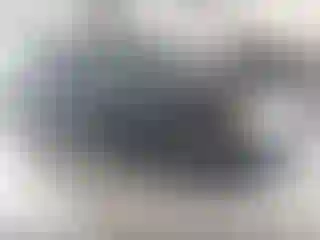 Vehicle Image- 2009 Ford Flex