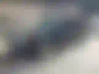 Vehicle Image- 2009 Ford Flex