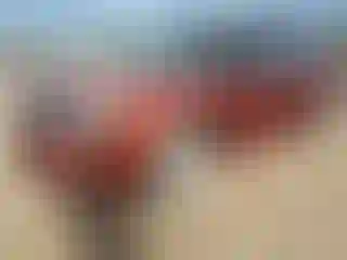 Vehicle Image- 2014 Ford Flex