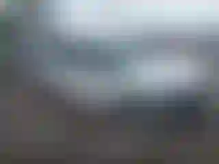 Vehicle Image- 2019 Ford Flex