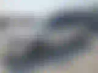 Vehicle Image- 2011 Ford Flex