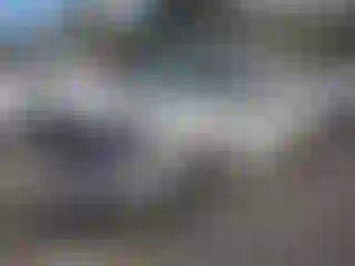 Vehicle Image- 2019 Ford Flex