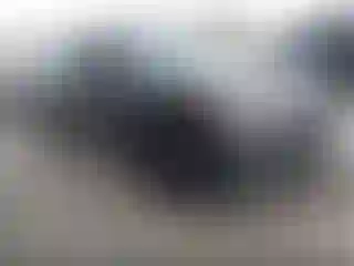 Vehicle Image- 2013 Ford Flex