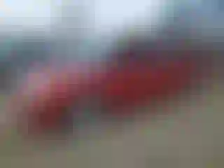 Vehicle Image- 2010 Ford Flex