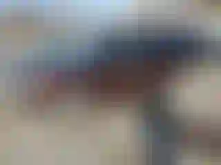 Vehicle Image- 2010 Ford Flex