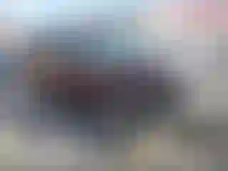 Vehicle Image- 2019 Ford Flex