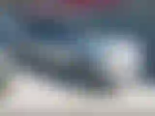 Vehicle Image- 2011 Ford Flex
