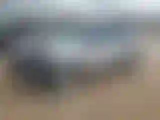 Vehicle Image- 2019 Ford Edge