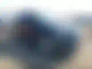 Vehicle Image- 2021 Ford Edge