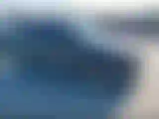 Vehicle Image- 2017 Ford Edge