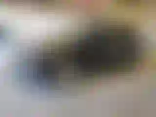 Vehicle Image- 2019 Ford Edge