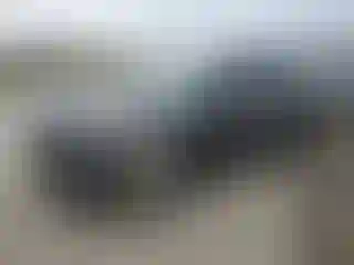 Vehicle Image- 2019 Ford Edge