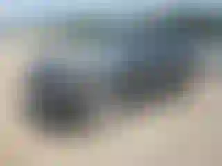 Vehicle Image- 2020 Ford Edge