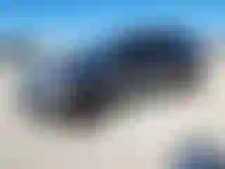 Vehicle Image- 2020 Ford Edge