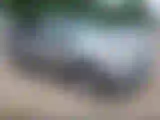 Vehicle Image- 2021 Ford Edge