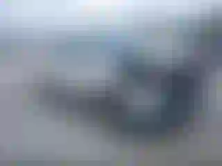Vehicle Image- 2016 Ford Edge