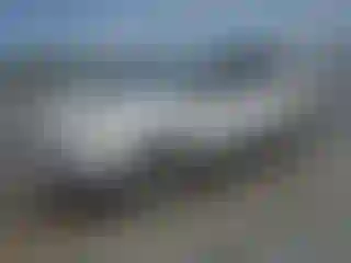 Vehicle Image- 2019 Ford Edge