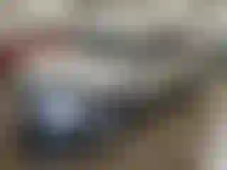 Vehicle Image- 2019 Ford Edge