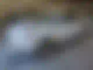 Vehicle Image- 2020 Ford Edge