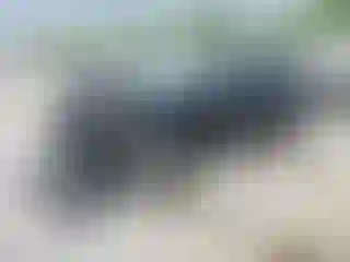 Vehicle Image- 2020 Ford Edge